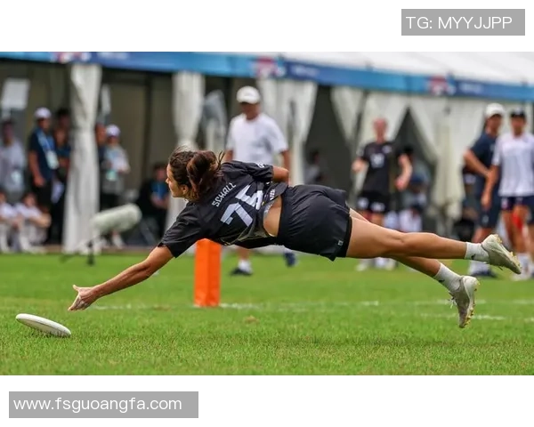 飞盘盛宴：深入了解成都飞盘队的默契与协作精神